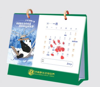萌虎“糖糖”送福来，爪印成章迎新年(图4)
