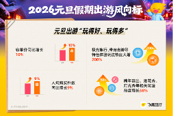 元旦跨年怎么玩？飞猪：看极光、带宠旅行热度大增200% - XCCX热点资讯网