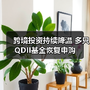 跨境投资持续降温 多只QDII基金恢复申购(图4)