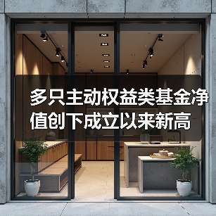 多只主动权益类基金净值创下成立以来新高(图3)