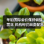 年初国际金价保持偏强震荡 机构称仍具备配置价值(图2)