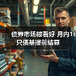 债券市场被看好 月内16只债基提前结募(图2)