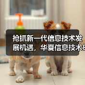 抢抓新一代信息技术发展机遇，华夏信息技术ETF即将结募(图4)
