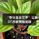“专业基金买手”公募FOF选基策略揭晓(图4)
