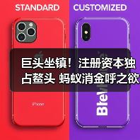 巨头坐镇！注册资本独占鳌头 蚂蚁消金呼之欲出(图3)