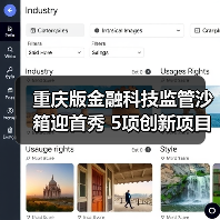 重庆版金融科技监管沙箱迎首秀 5项创新项目拟入箱(图4)
