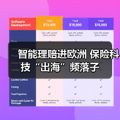 智能理赔进欧洲 保险科技“出海”频落子(图4)