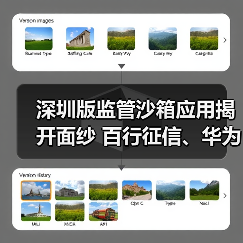 深圳版监管沙箱应用揭开面纱 百行征信、华为等机构入围(图2)