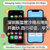 深圳版监管沙箱应用揭开面纱 百行征信、华为等机构入围(图3)