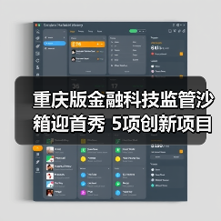 重庆版金融科技监管沙箱迎首秀 5项创新项目拟入箱(图4)