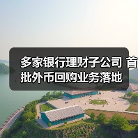 多家银行理财子公司 首批外币回购业务落地(图4)