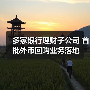 多家银行理财子公司 首批外币回购业务落地(图2)