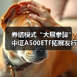 券结模式“大展拳脚” 中证A500ETF拓展发行新生态(图2)