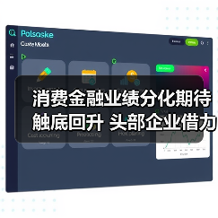消费金融业绩分化期待触底回升 头部企业借力政策东风稳健发展(图3)
