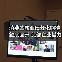消费金融业绩分化期待触底回升 头部企业借力政策东风稳健发展(图2)