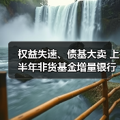 权益失速、债基大卖 上半年非货基金增量银行占半壁江山(图4)