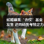 延期募集“含权”基金发售 逆向销售考验定力(图4)