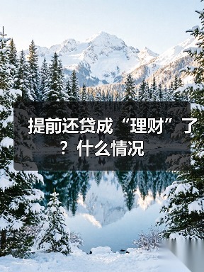 提前还贷成“理财”了？什么情况(图4)