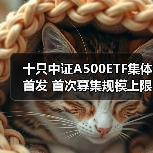 十只中证A500ETF集体首发 首次募集规模上限均为20亿元(图4)