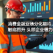 消费金融业绩分化期待触底回升 头部企业借力政策东风稳健发展(图2)