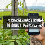 消费金融业绩分化期待触底回升 头部企业借力政策东风稳健发展(图3)