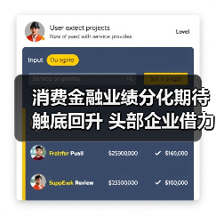 消费金融业绩分化期待触底回升 头部企业借力政策东风稳健发展(图4)