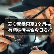 嘉实季季惠享3个月持有期纯债基金今日发行(图2)