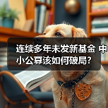 连续多年未发新基金 中小公募该如何破局？(图2)