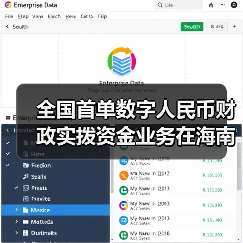 全国首单数字人民币财政实拨资金业务在海南文昌落地(图4)