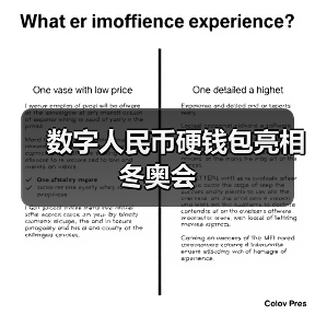 数字人民币硬钱包亮相冬奥会(图3)