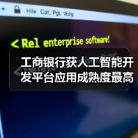 工商银行获人工智能开发平台应用成熟度最高评级(图3)