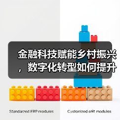 金融科技赋能乡村振兴，数字化转型如何提升农村金融效率？ - XCCX热点资讯网