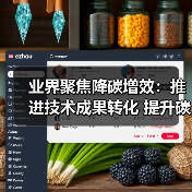 业界聚焦降碳增效：推进技术成果转化 提升碳资产管理水平(图1)
