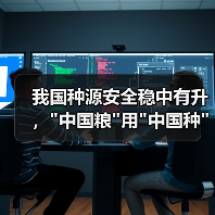 我国种源安全稳中有升，中国粮用中国种靠得住吗？(图3)
